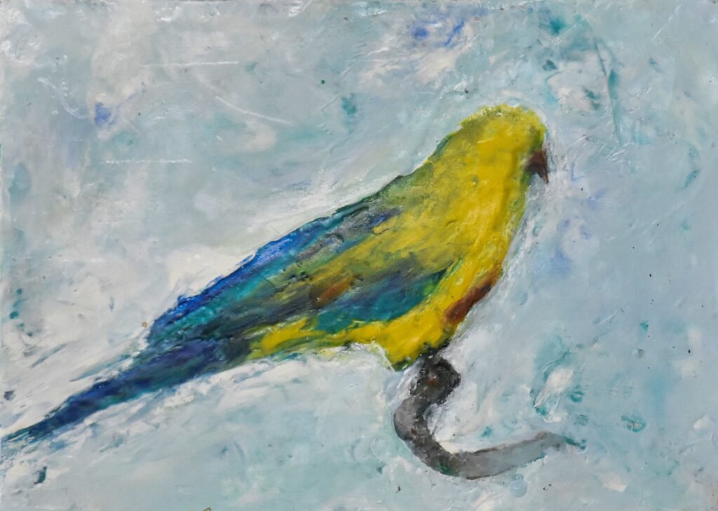 Orange Bellied Parrot
